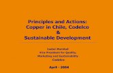 Principles and Actions: Copper in Chile, Codelco ...s3.amazonaws.com/zanran_storage/ · Copper in Chile, Codelco & Sustainable Development Isabel Marshall Vice President for Quality,
