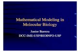 Mathematical Modeling in Molecular Biology - USPjb/lectures/bioinformatics/rio-cnpq.pdf · Mathematical Modeling in Molecular Biology Junior Barrera DCC-IME-USP/BIOINFO-USP. Projects
