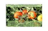 Multiplex for Tomato Diseases - UF/IFAS OCIconference.ifas.ufl.edu/npdn/Presentations/THURS 1410 Smart, Chris.pdf · Multiplex for Tomato Diseases Christine Smart Plant Pathology
