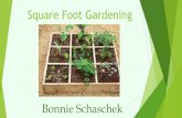 Square foot gardening Intro by Bonnie Schascheknnmg.org/files/2016SquareFootGardeneing.pdf · Square Foot Gardening was created in 1975 by Mel ... • Nine bunches of ... it automatically