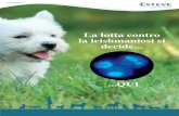 La lotta contro la leishmaniosi si decide - ortells.cat · Leishmaniosi canina Una patologia... 5-10% ammalati 90-95% non ammalati...Perchè?...del sistema immunitario Risposta immunitaria