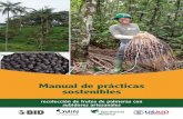 Manual de prácticas sostenibles - Rainforest Alliance · Manual de prácticas sostenibles: recolección de frutos de palmeras con subidores artesanales 4 5 Las palmeras en los bosques