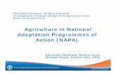 Agriculture in National Adaptation Programmes of … · NAPAs • National Programmes of Action (47) • Identify urgent and immediate needs for adaptation in LDC countries • Select