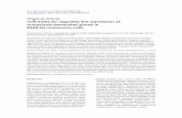 Original Article miR-199a-5p regulates the expression of ... · miR-199a-5p regulates the expression of metastasis-associated genes in B16F10 melanoma cells Jianda Zhou 1, Rui Liu