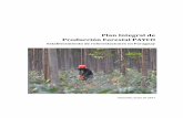 Plan Integral de Producción Forestal PAYCO€¦ · 4.5.1 Incremento medio anual ... Hasta fines de 2016, ... producción de madera de alto valor y con Eucaliptus grandis x camaldulensis