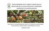 USAID- Alianza Cacao-Universidad Nacional de Ucayali ...expoamazonica.com/wp-content/uploads/2018/08/Potencial_cacao... · El cadmio en el cultivo de cacao. REGLAMENTO (UE) No 488/2014