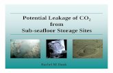 Potential Leakage of CO2 from Sub-seafloor Storage ... Marine.pdf · from Sub-seafloor Storage Sitesseafloor Storage Sites Rachel M Dunk . Q1: Where might sub-seafloor storage occur?