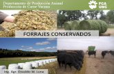 FORRAJES CONSERVADOS - agro.unc.edu.arwpweb/carne/wp-content/uploads/sites/24/2017/... · Desventajas. SILAJES. AÑO 1993-1994 2006-2007 2013-2014 SUPERFICIE 80.000 has 700.000 has