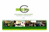 BROCHURE GOLDMANCONSULTORES 2013 - v3 - Paritarios.clparitarios.cl/descargas/BROCHURE_GOLDMANCONSULTORES_2013-v3.pdf · Remigio Saez Blanco, Jefe de proyectos de GoldmanConsultores
