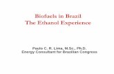 Biofuels in Brazil The Ethanol Experience - EnergyToolbox.org · Biofuels in Brazil The Ethanol Experience Paulo C. R. Lima, M.Sc., ... the national grid ... Matriz de Energia Elétrica.