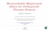BioresorbableMagnesium Alloys for Orthopaedic Trauma Surgery · - Magnesium Elektron (materials development and ... studies are warranted with a purer ingot of this material. •