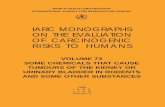 IARC MONOGRAPHS ON THE EVALUATION OF … · The term ‘carcinogenic risk’ in the IARC Monographs series is taken to mean the probability that exposure to an agent will lead to
