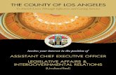 THE COUNTY OF LOS ANGELES — AN EXCEPTIONAL …file.lacounty.gov/SDSInter/dhr/1044292_ASSISTANTCHIEFEXECUTIVE... · nia, and for the tradition of home rule and local control vise