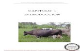CAPITULO 1 INTRODUCCION - Repositorio de la Universidad de ...repositorio.espe.edu.ec/bitstream/21000/1147/1/T-ESPE-026059.pdf · INTRODUCCION Evaluation notes ... 3 por mil de la