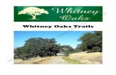 Whitney Oaks Trail Guide · He became a world traveler, met his wife in England (Lucy Ann Chadwick Whitney) ... The Whitney family made a number of purchases of the Australian Merino
