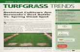 Golfdom 'S PRACTICAL RESEARCH DIGEST FOR TURF …archive.lib.msu.edu/tic/golfd/article/2005feb75.pdf · SDS injury usually takes the form of circular dead areas that can range from