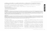 Colitis eosinofílica y colitis linfocítica: ¿diferentes ...sisbib.unmsm.edu.pe/bvrevistas/gastro/vol33_n1/pdf/a05v33n1.pdf · 4 Hospital II Luís Negreiros Vega, EsSalud, Lima,