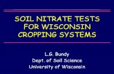 SOIL NITRATE TESTS FOR WISCONSIN CROPPING SYSTEMS · SOIL NITRATE TESTS FOR WISCONSIN CROPPING SYSTEMS L.G. Bundy Dept. of Soil Science University of Wisconsin