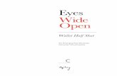 Eyes Wide Open - Ogilvy & Mather · Eyes Wide Open Wallet Half Shut The Emerging Post-Recession Consumer Consciousness