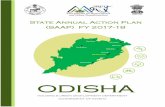 STATE ANNUAL ACTION PLAN (SAAP): ODISHA FY: 2017-18 - …amrut.gov.in/writereaddata/saap/Saap17_20/Odisha.pdf · state annual action plan (saap): odisha fy: 2017-18 h & ud department