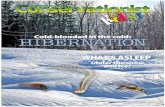 IIn n tthis issue:his issue - New York State Department of ... · IIn n tthis issue:his issue: we'll learn about some of the animals that hibernate to survive our northern winters.
