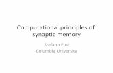 Computaonal+principles+of+ synap(c+memory+ - UHzpkilpat/icmns2017/FusiTutorialSyn... · A. Roxin, S. Fusi, PLoS Comp. Biology 2013 . BEFORE SURGERY AFTER BEFORE SURGERY AFTER ...