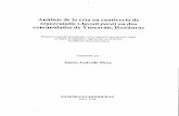 Análisis de la cria en cautiverio de tepezcuintle (Agouti ... -1998-T003... · vacuno en areas boscosas tropicales y subtropicales, Ia cria de tepezcuintle ocasiona un impacto ambiental