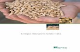 Energía renovable: la biomasa - . : : EPEC : : . · 2009-06-01 · Biomasa natural: Se produce de forma espontánea en la naturaleza, sin interven-ción humana. Por ejemplo, las