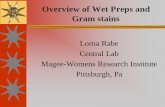 Overview of Wet Preps and Gram stains - mtnstopshiv.org · Overview of Wet Preps and Gram stains Lorna Rabe Central Lab Magee-Womens Research Institute Pittsburgh, Pa. Vaginal Flora