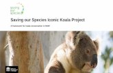 Saving our Species Iconic Koala Project - Koala Hospital · Saving our Species Iconic Koala Project A framework for koala conservation in NSW John Turbill