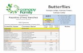 Butterflies - canopytower.com Checklist 2018 no photos3.pdf · Eurema salome jamapa Salome Yellow CL CC Eurema arbela Disjunct Yellow CT CC Pyrisitia proterpia Tailed Orange CL CC