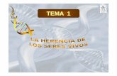 TEMA 1TEMA 1 - Universidad de Cádizasociaciones.uca.es/genetica-sociedad-actual/Archivos_presentaci... · Célula animal y/o vegetal. ... Universidad de CádizUniversidad de Cádiz