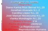 Integrantes: Diana Karina Ríos Bernal N ... - monografias.com · La vagina. Es un conducto flexible que comunica el útero con el exterior. La vagina se abre al exterior por el orificio
