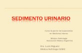SEDIMENTO URINARIO - smiba.org.ar · ... azul de metileno, ... •Causas vasculares (infarto renal, estenosis de la arteria renal, ... hasta la porción proximal de la uretra.