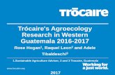 Trócaire's Agroecology Research in Western Guatemala 2016 … · Trócaire's Agroecology Research in Western Guatemala 2016-2017 Rose Hogan1, Raquel Leon2 and Adele Tibaldeschi3
