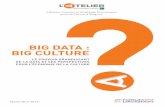 Big Data : Big Culture - forum- .Novembre 2013 Big Data : Big Culture le pouvoir granDissant De la