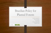 Brazilian Policy for Planted Forests - The Forest Carbon ... · Brazilian Policy for Planted Forests ... (ABC Program / Pronaf florestal / Constitucional funds ) ... 3/20/2015 8:36:50