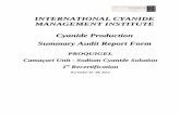 INTERNATIONAL CYANIDE MANAGEMENT INSTITUTE Cyanide ... · INTERNATIONAL CYANIDE MANAGEMENT INSTITUTE . Cyanide Production . Summary Audit Report Form . PROQUIGEL Camaçari Unit -