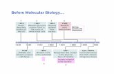 Before Molecular Biology… - Biologia Molecular e ...bmg.fc.ul.pt/Disciplinas/FundBiolMolec/1DogCentrEstrutMolBiolMol.pdf · Replicação do DNA ... Replicação DNA RNA Proteína