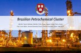 Brazilian Petrochemical Cluster - isc.hbs.edu · Brazilian Petrochemical Cluster Akerele, Toyosi; Barboza, Marden; Faria, Diogo; Gopaul, Lavan; ... COMPERJ Construct. delay (y) 9x