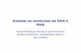 Estudar as moléculas de DNA e RNA - bmg.fc.ul.ptbmg.fc.ul.pt/Disciplinas/GBM/aulas/2EstudDNAeRNA.pdf · O álcool exclui as moléculas de água do DNA, precipitando-o Grande variedade