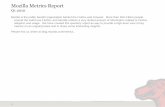 Mozilla Metrics Report Q1 2010 .Mozilla Metrics Report Q1 2010 About Mozilla The Mozilla project