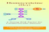 Homocysteine - artekinmedikal.com.trartekinmedikal.com.tr/upload/Biyokimya/Reaktifler/Diazyme/Brochure/... · Kilmer McCully 3. cardiovascular disease. Recent studies have also demon-strated