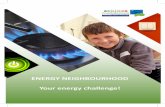 ENERGY NEIGHBOURHOOD Your energy challenge! · The Energy Neighbourhood project took this idea from Belgium to eight other European Countries. Some eight ... All countries carried