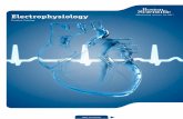 Electrophysiology - Genodynamic · page 10 ELECTROPHYSIOLOGY EFFECTIVE MAY 2015 Cardiac Ablation Curve Options ... Blazer PrimeTM Bidirectional Temperature Ablation Catheter Catheter