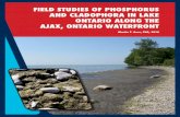FIELD STUDIES OF PHOSPHORUS AND CLADOPHORA IN LAKE … · field studies of phosphorus and cladophora in lake ontario along the ajax, ontario waterfront martin t. auer, phd, 2014.