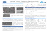 NWA 7188 Eucrite: Petrology, Chemical Compositions and Evolution History · This work focuses on the petrographic description and geochemical analysis of an eucrite from Northwest