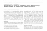 M. D. Herrero-Pe´rezrul Æ F. Garcı´a-Domı´nguez Æ ...zicatela.umar.mx/~redequinos/2/articulos/HerreroPerezrul_etal_1999.pdf · Reproduction and growth of Isostichopus fuscus(Echinodermata: