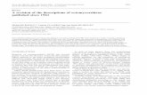 A revision of the descriptions of ectomycorrhizas ...dadun.unav.edu/bitstream/10171/19617/1/2005.12.MycRes.pdf · Review A revision of the descriptions of ectomycorrhizas published