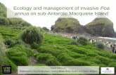 Ecology and management of invasive Poa annua on sub ... · Ecology and management of invasive Poa annua on sub-Antarctic Macquarie Island Laura Williams ... siteF s 0 20 40 60 ...
